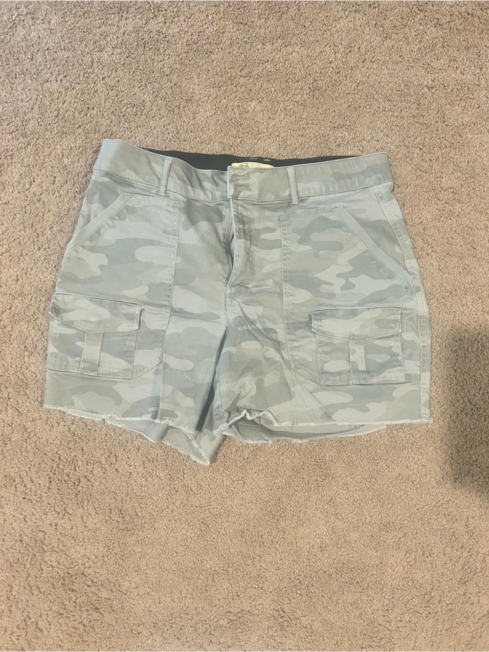 Democracy Camo Cargo Shorts